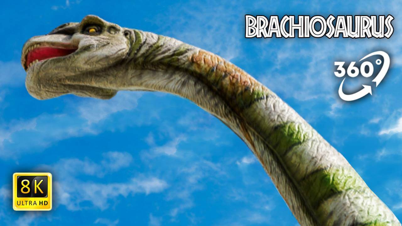 VR Jurassic Encyclopedia #7 – Brachiosaurus dinosaur facts VR 360 video education