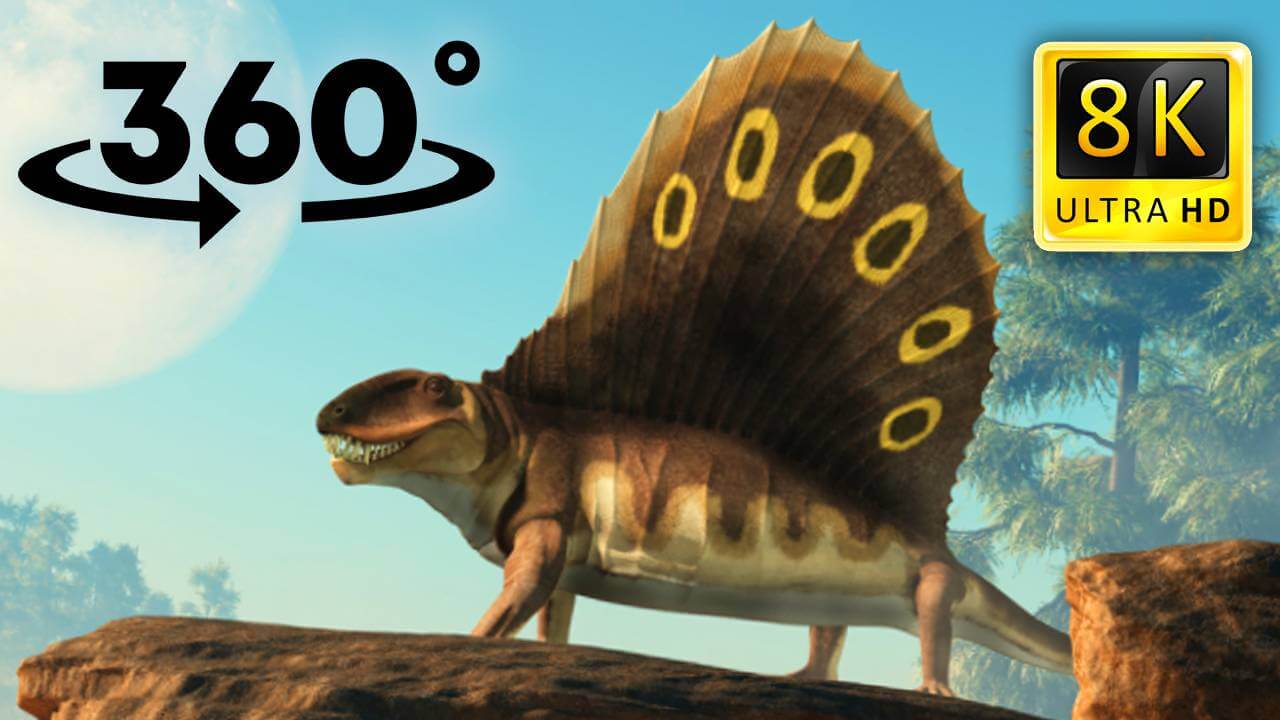 VR Jurassic Encyclopedia #4 – Dimetrodon dinosaur facts VR 360 video education