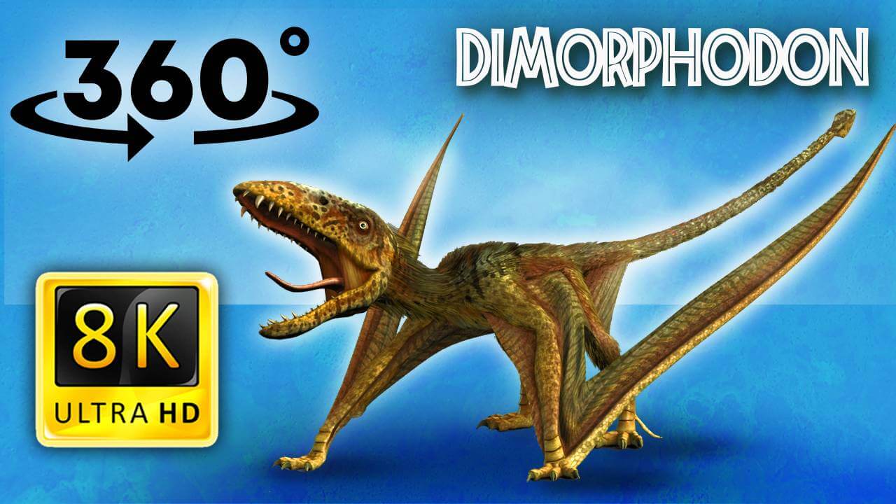 VR Jurassic Encyclopedia #2  – Dimorphodon dinosaur facts VR 360 video education
