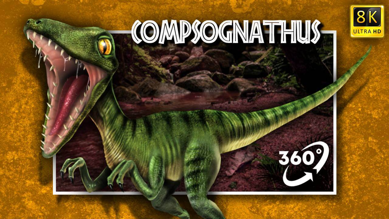 VR Jurassic Encyclopedia #11 – Compsognathus dinosaur facts VR 360 video education