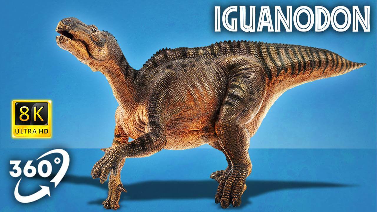VR Jurassic Encyclopedia #17 – Iguanodon dinosaur facts VR 360 video education