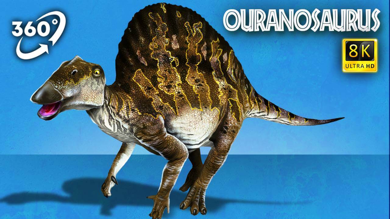 VR Jurassic Encyclopedia #12 – Ouranosaurus dinosaur facts VR 360 video education