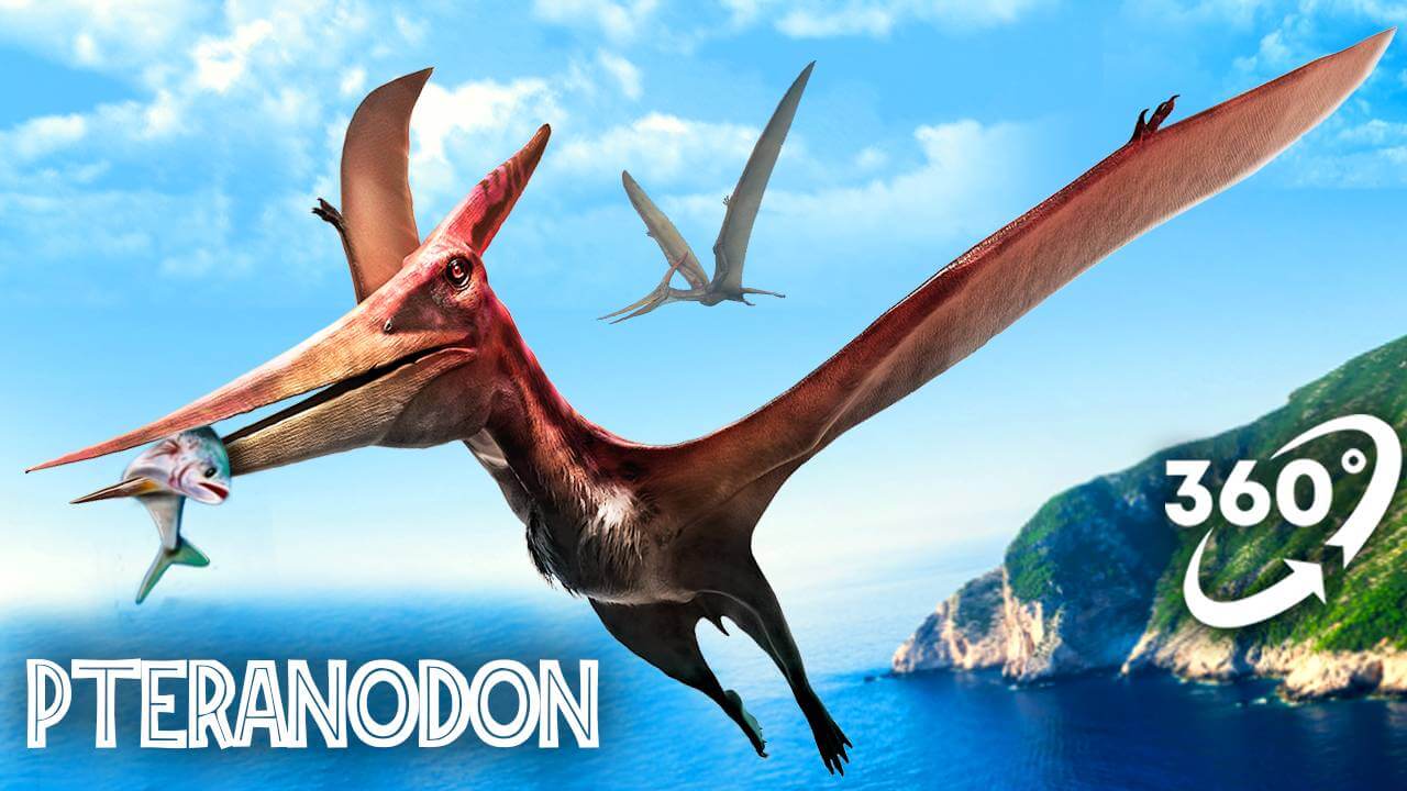VR Jurassic Encyclopedia #16 – Pteranodon dinosaur facts VR 360 video education