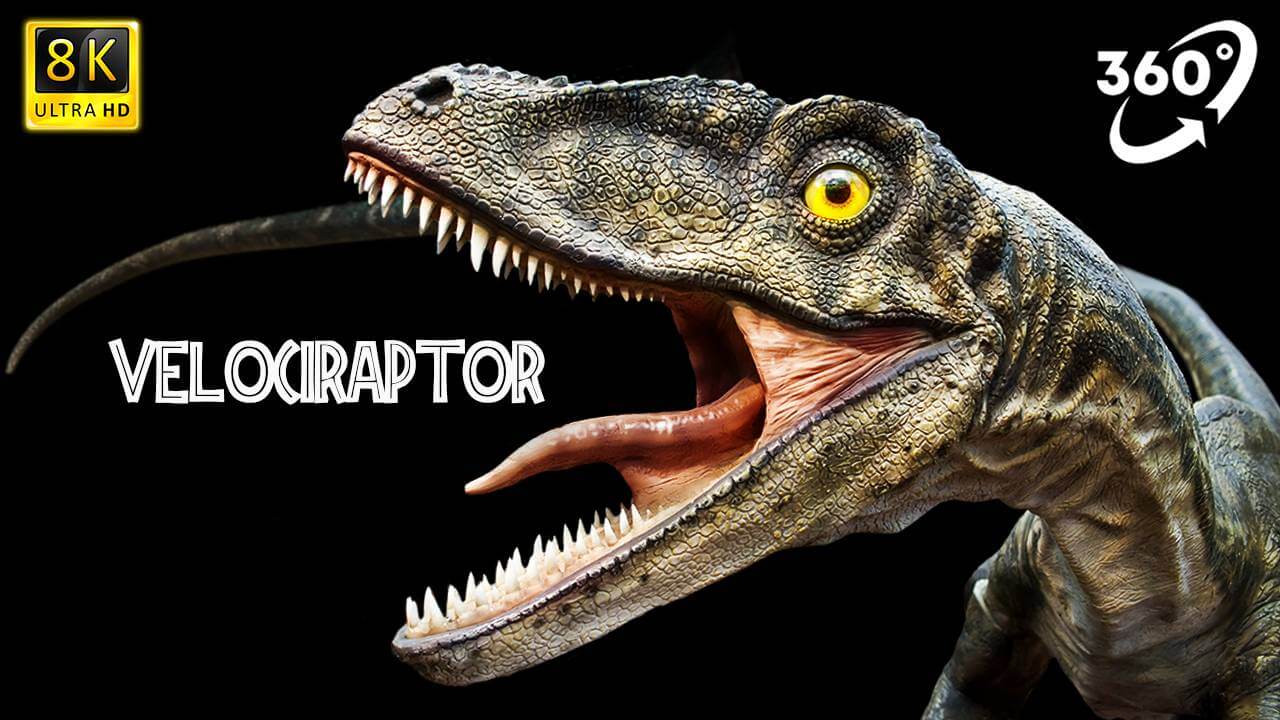VR Jurassic Encyclopedia #15 – Velociraptor dinosaur facts VR 360 video education