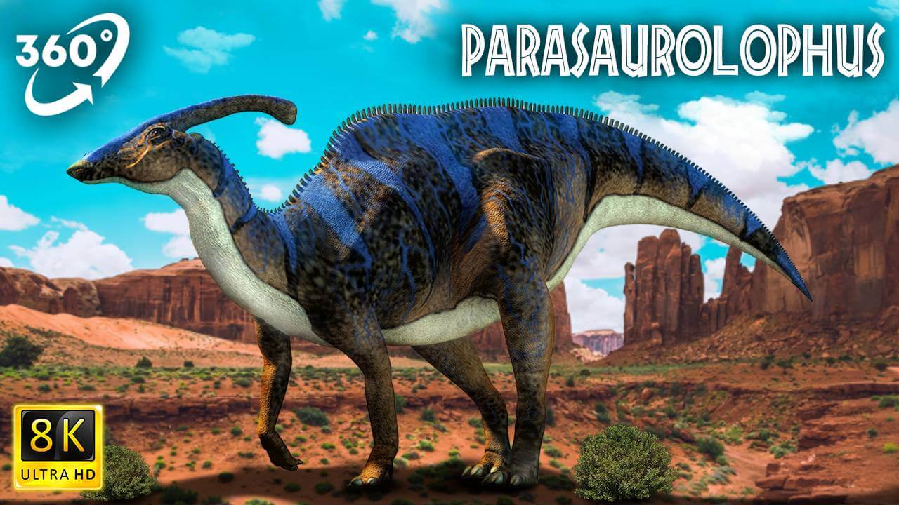 VR Jurassic Encyclopedia #21 – Parasaurolophus dinosaur facts VR 360 video education
