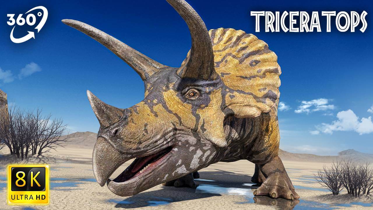 VR Jurassic Encyclopedia #20 – Triceratops dinosaur facts VR 360 video education